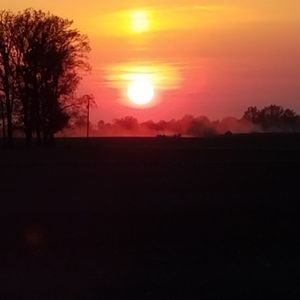 Meet your Posher, Michele